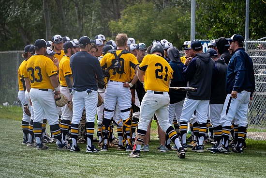 Laurentian Vees Baseball