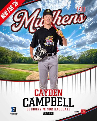 Batter_Up_Player_sample.jpg